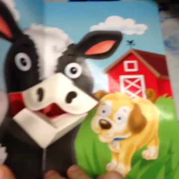 animals