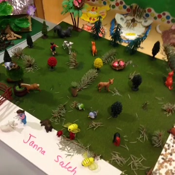 Animals