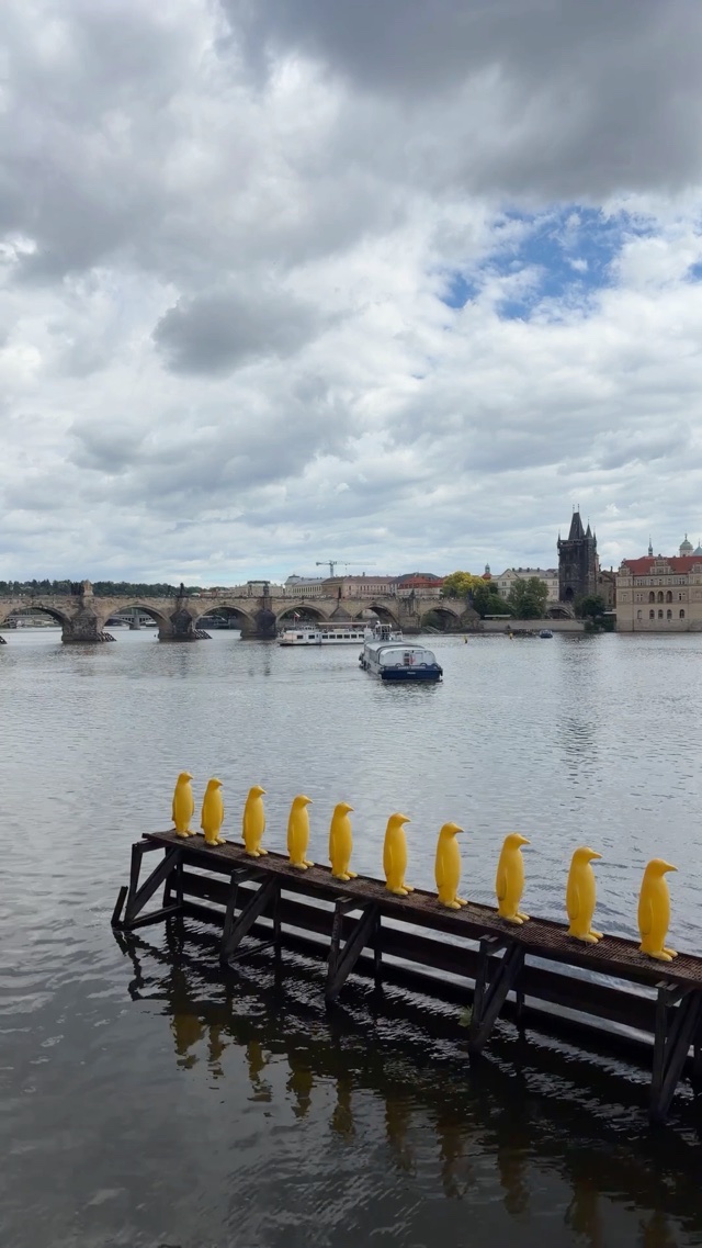Vltava river in Prague