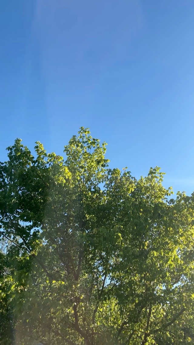 Central NC sky