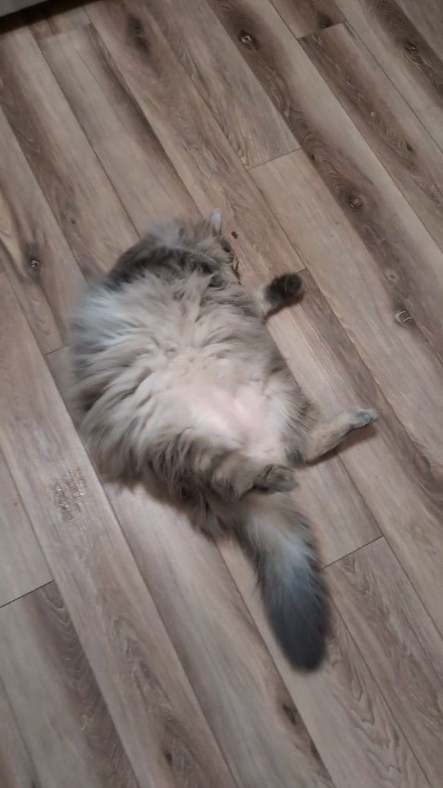Drop the Nip