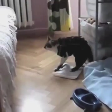 The jump of his life PART 3