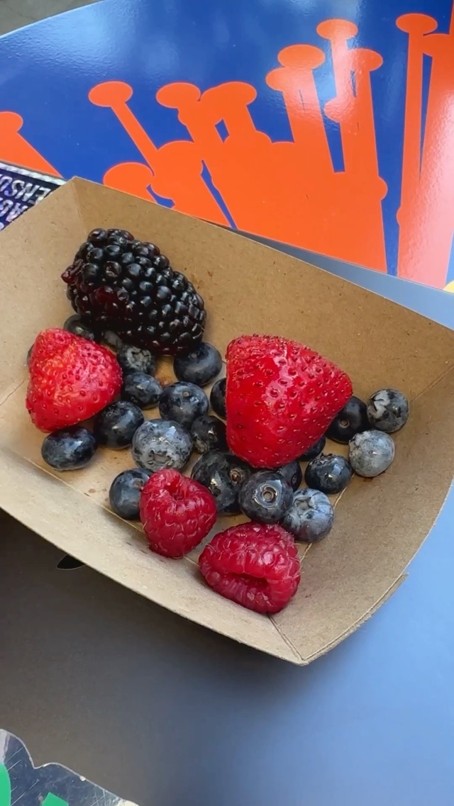 Biggest blackberry ever!