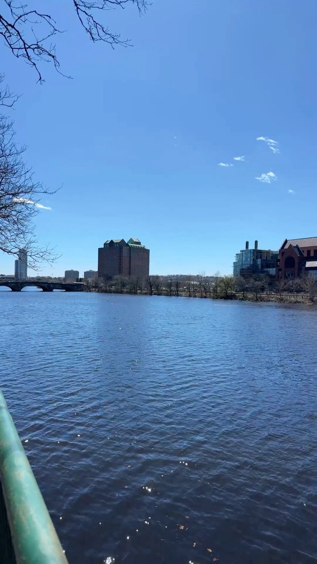 Charles River / Cambridge, MA