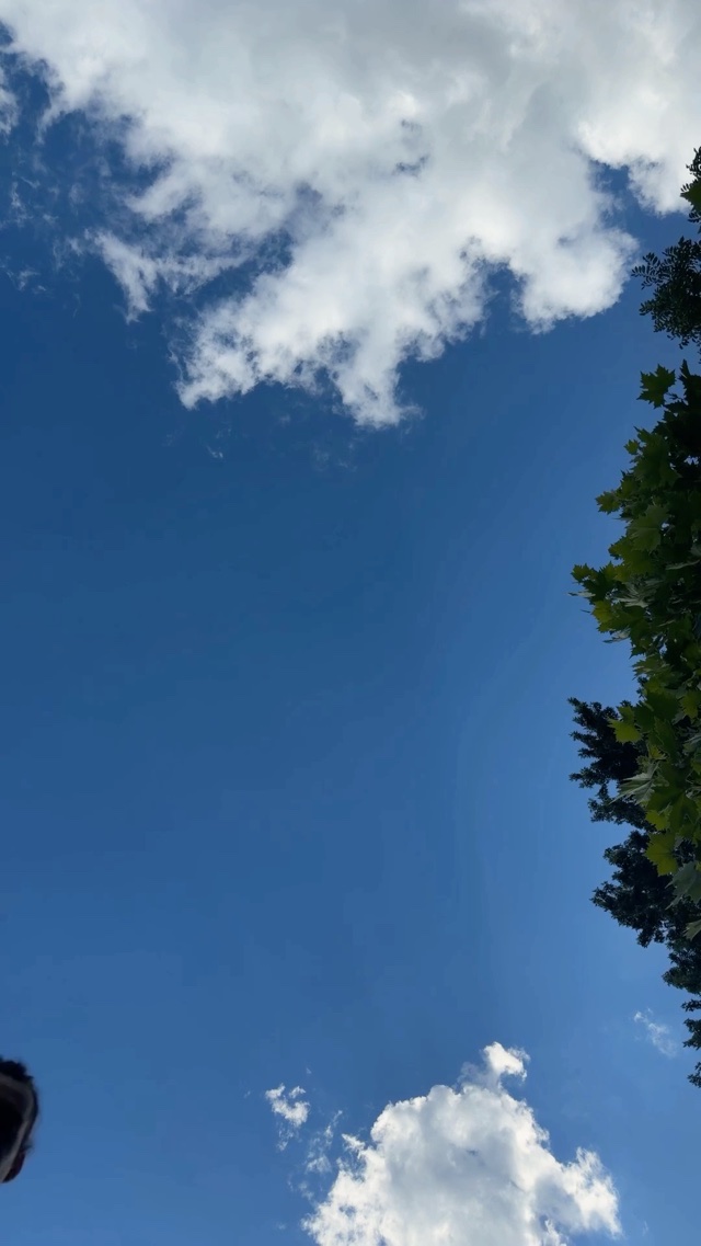 LOUISVILLE KY SKY 🤸🏻