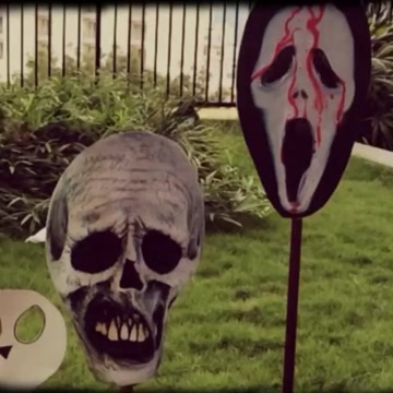 Vine video