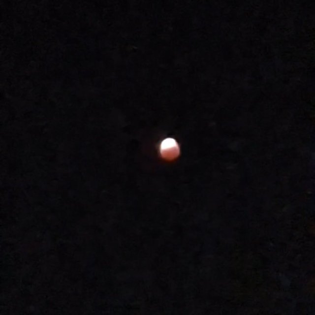 Lunar Eclipse