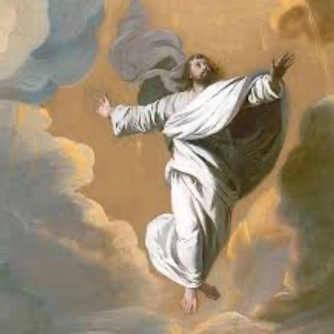 DiVineJesus