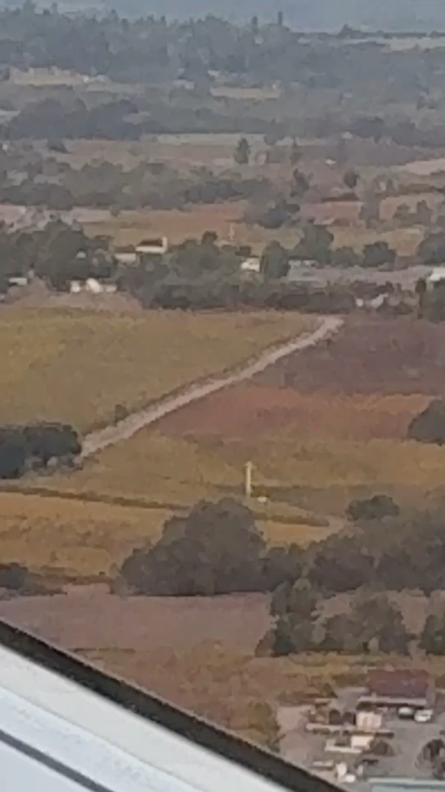 Coming in to land over the vineyards