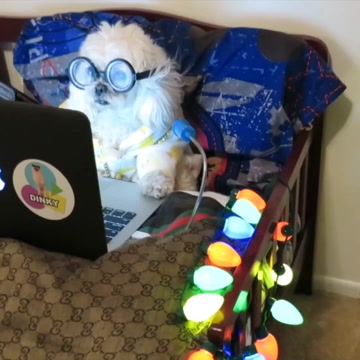 Last Minute Christmas shopping Like...😂😂 #dinky