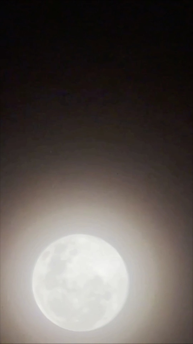 Moonin’ 🌝