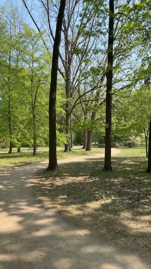 Łazienki Park in Warsaw Poland