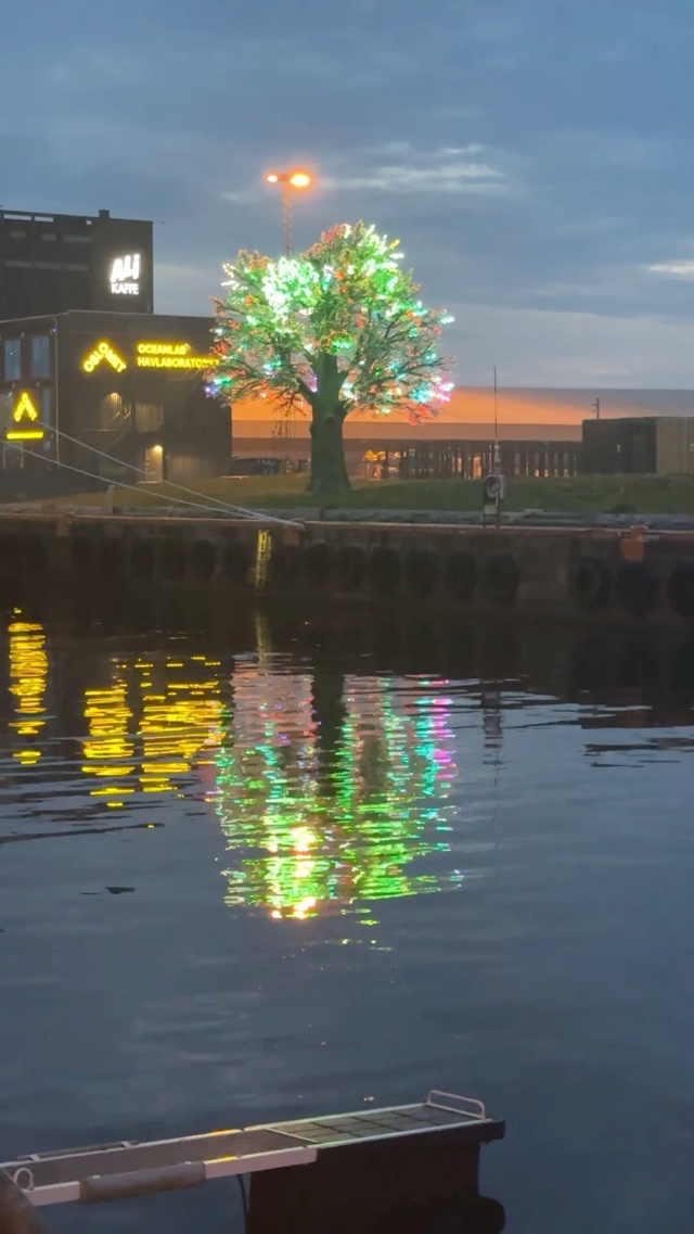 The Oslo Tree