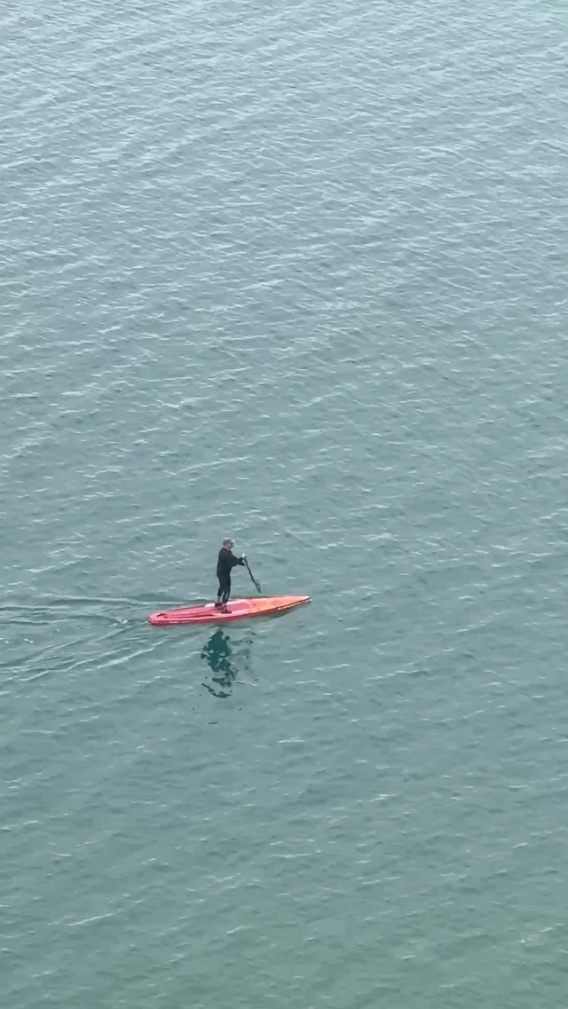 They look so relaxed out on the water