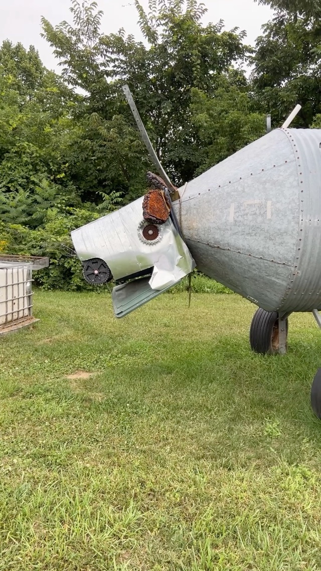 Moo?