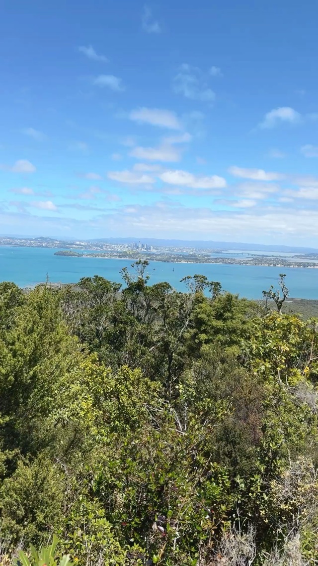 Auckland from afar