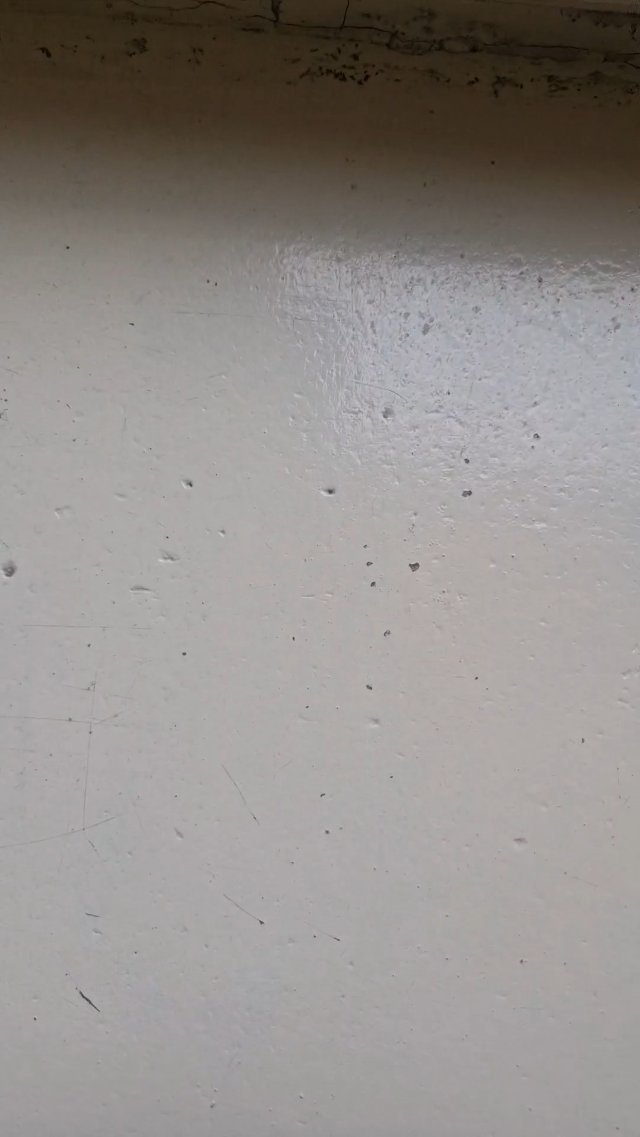 Super-short Vine