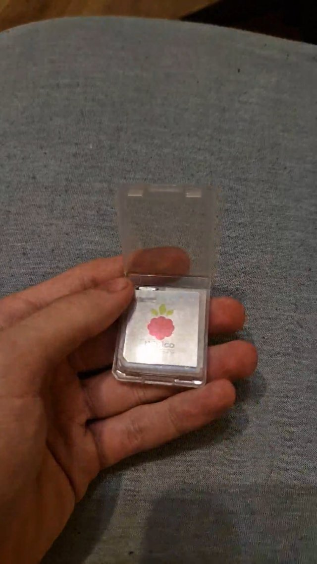 Got the flashcart for my DS