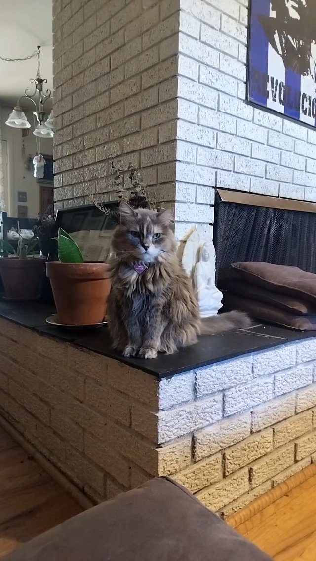 👀