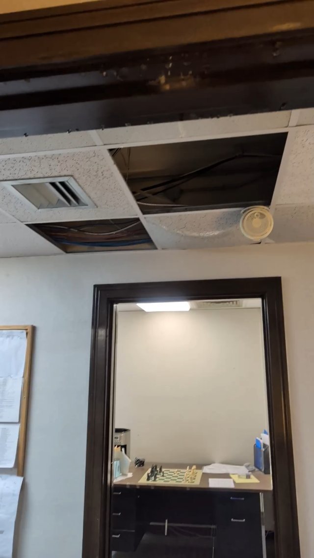 Tropical views from my office door