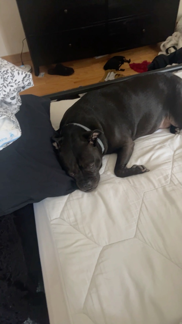 I need to put the sheets on?