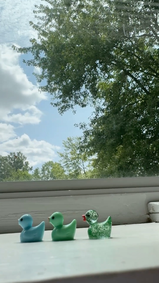 🦆🦆🦆 duck, duck, duck