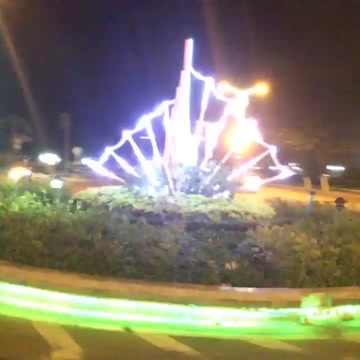 Vine video