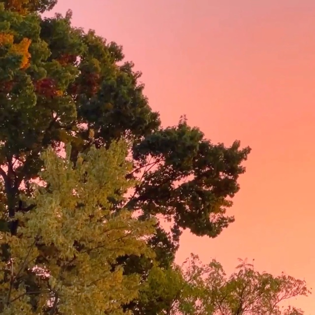 Sunset.