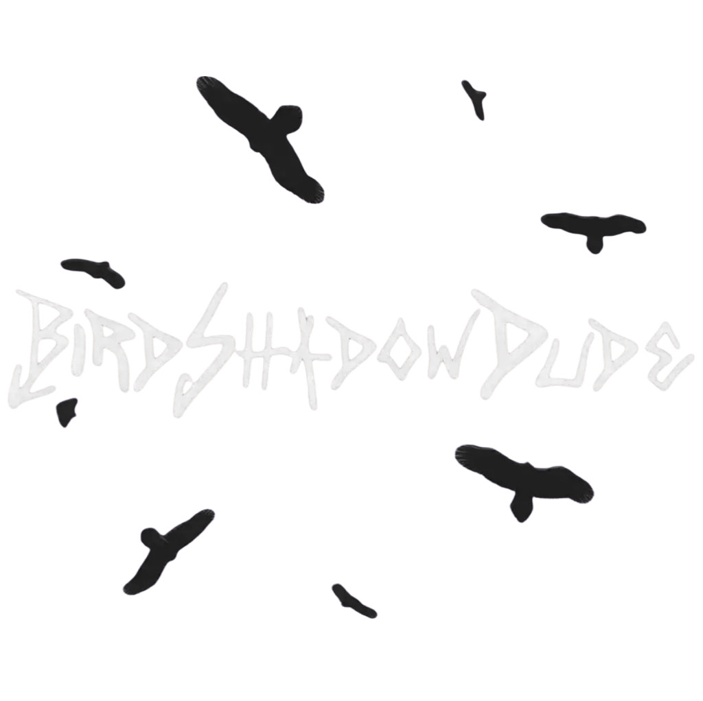 BirdShadowDude