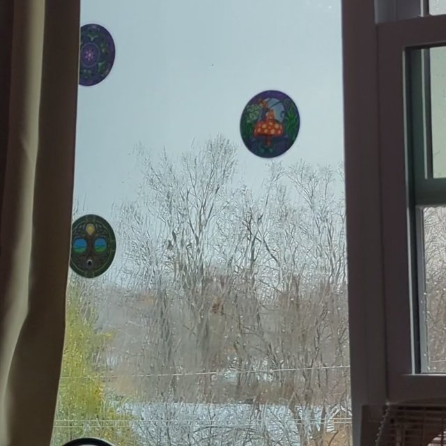A really nice day today