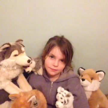 Animals