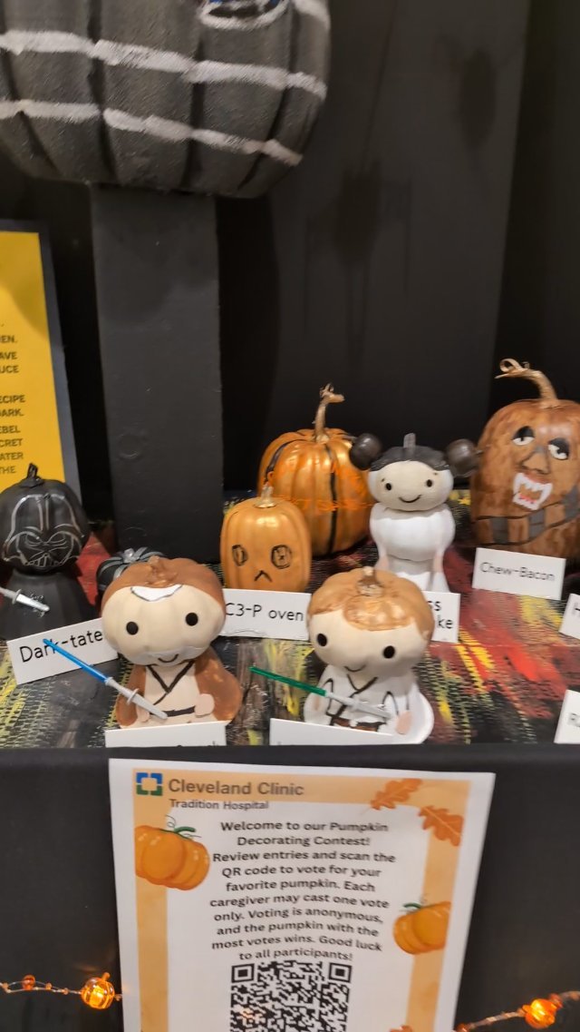 Pumpkin Display