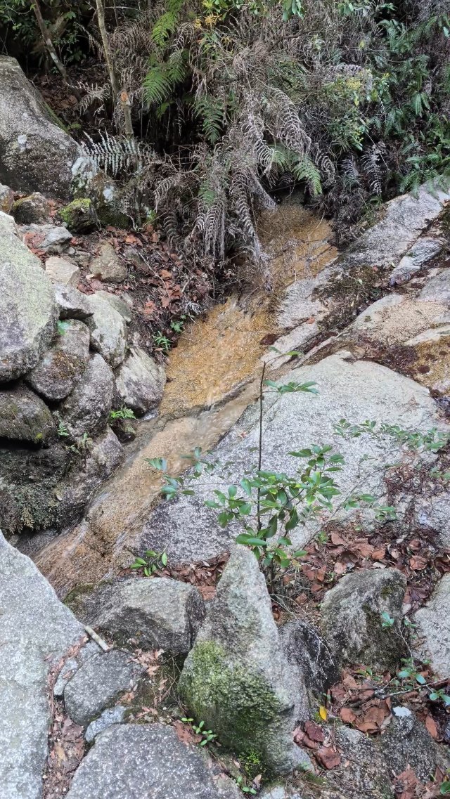 Hiking at Miyajima Island in Japan