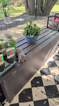 At this point I should probably name him?