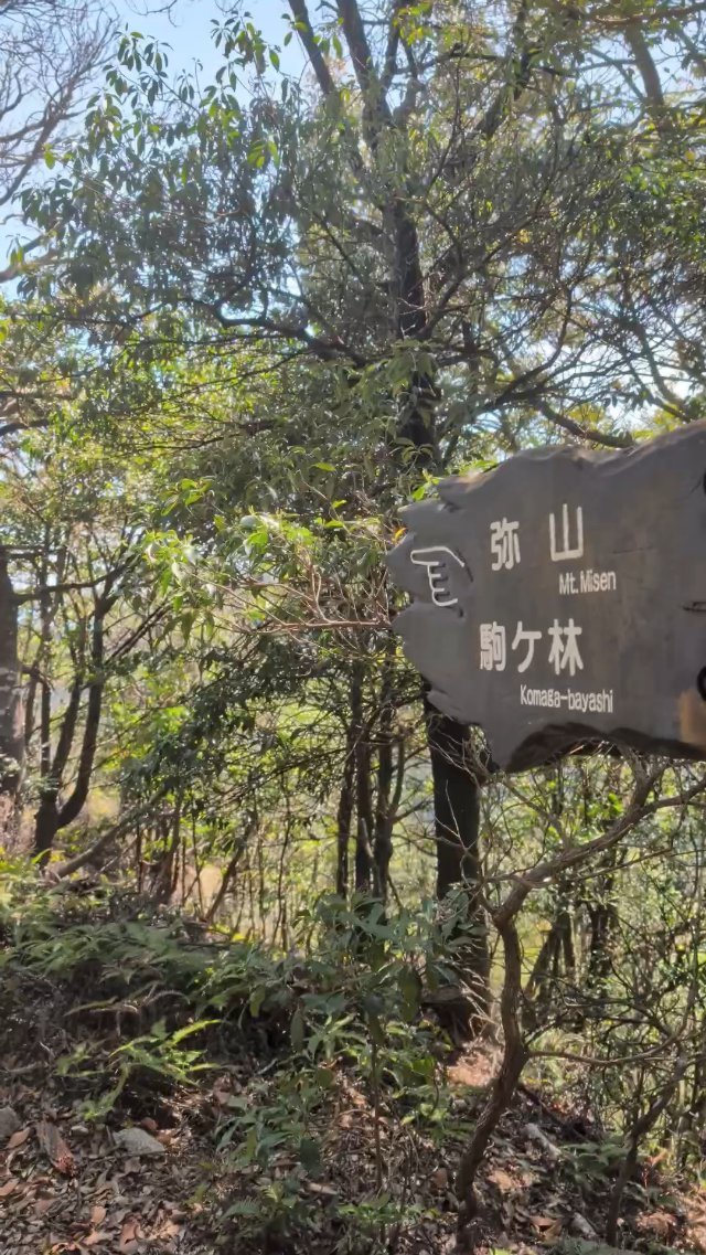 View from Komagabayashi Peak at Miyajima Island in Japan