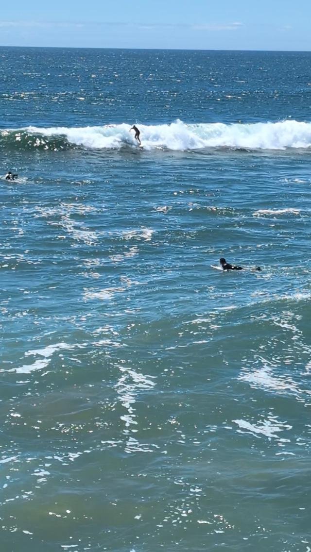 Surf's Up