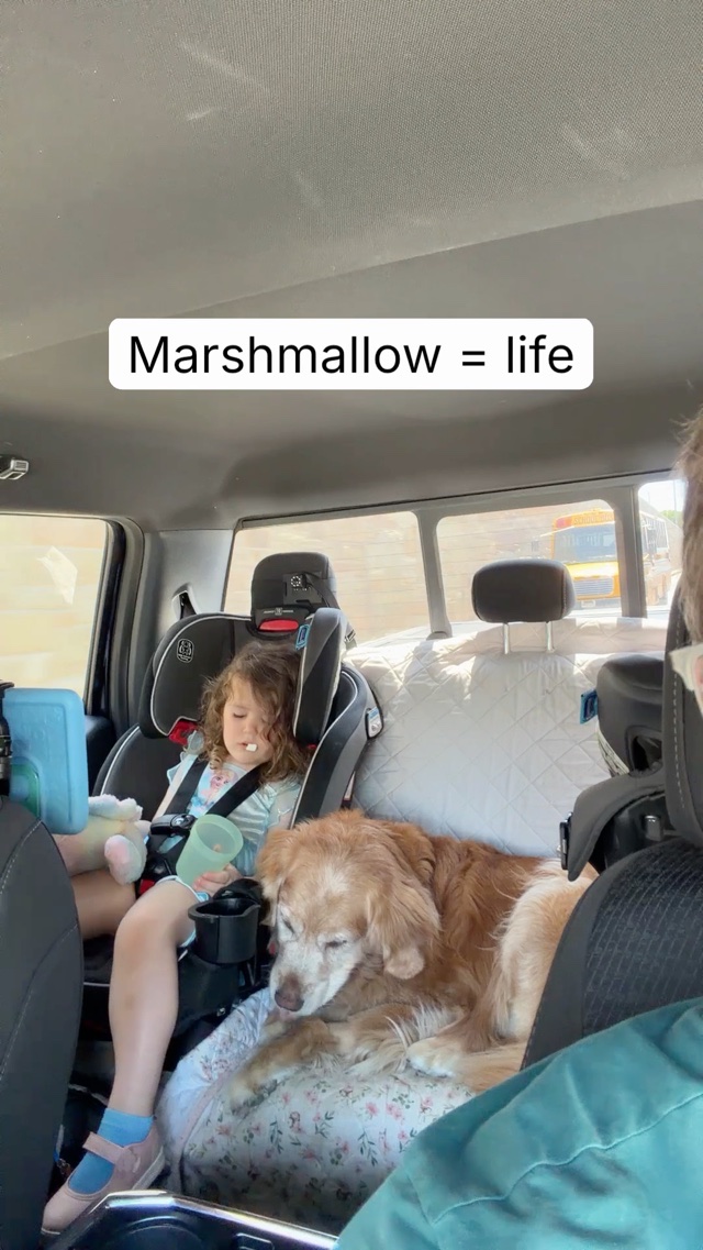 Girl so tired didn’t finish her mallow