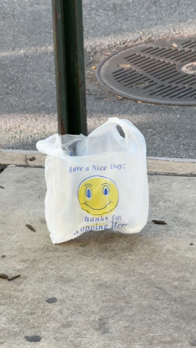 have a nice day