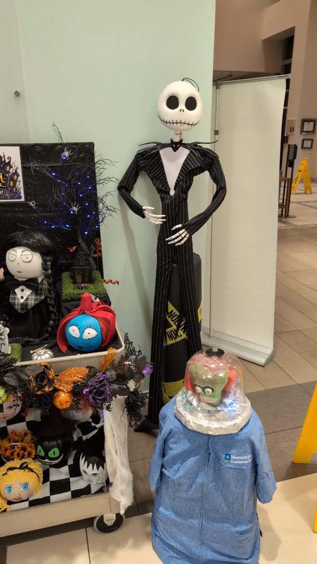Another Pumpkin Display
