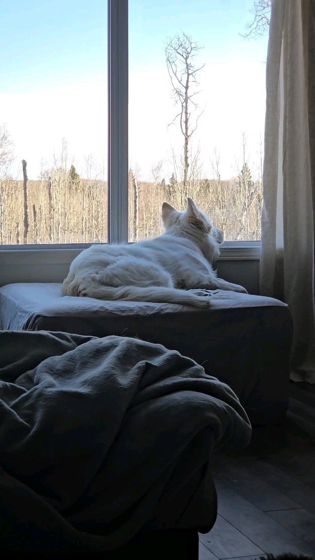 GM ☀️