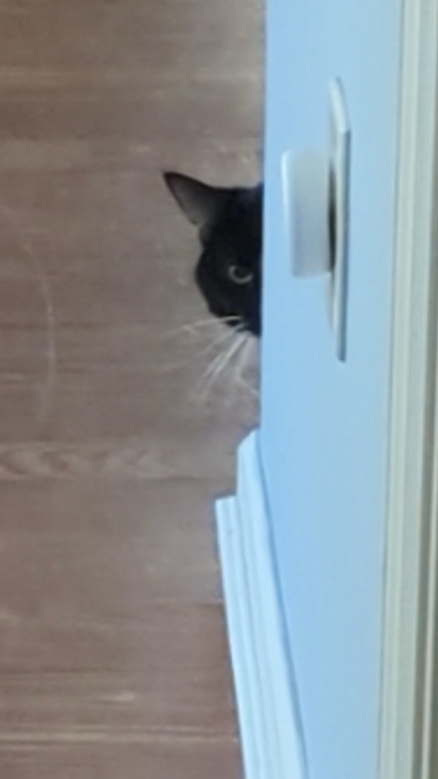 He's just staring there, menacingly!