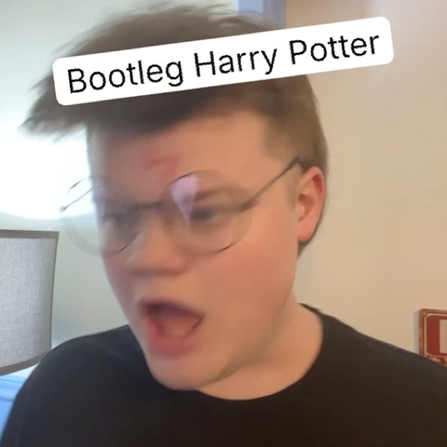 Master Has Given Dobby A Gl0ck