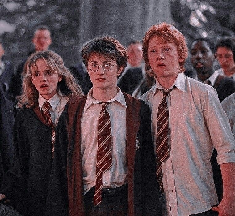 EliteXPotter