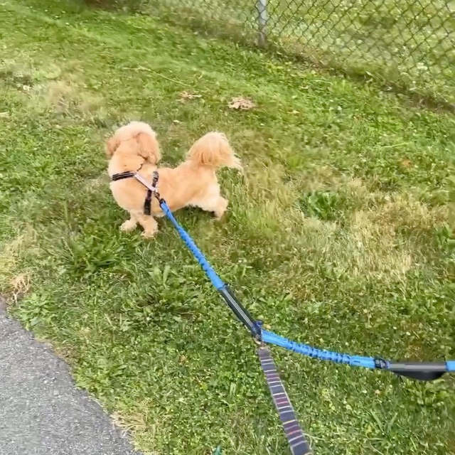 They listen so well