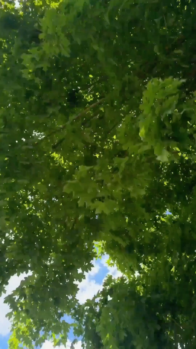 LOUISVILLE KY SKY