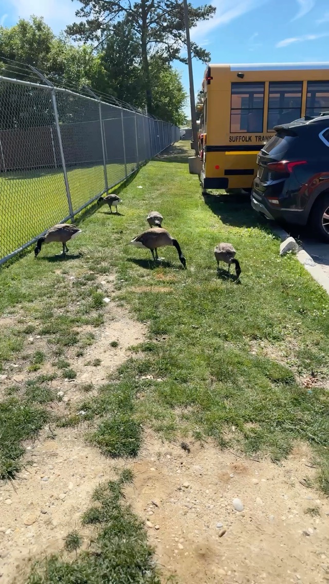 The babies are getting big