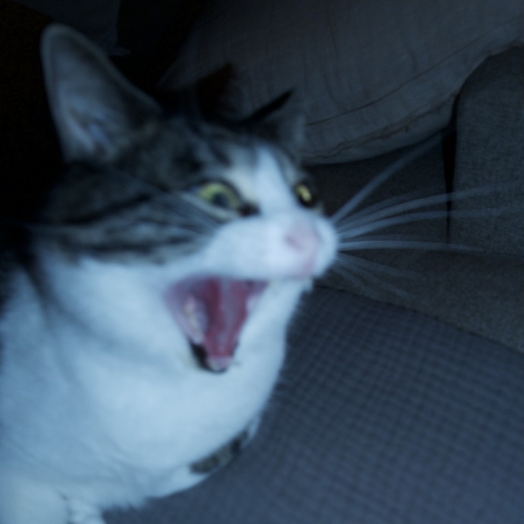 SLOPAGANDA