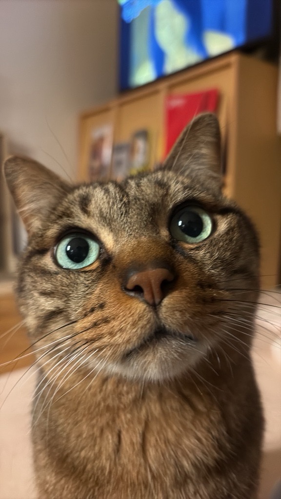 gumie