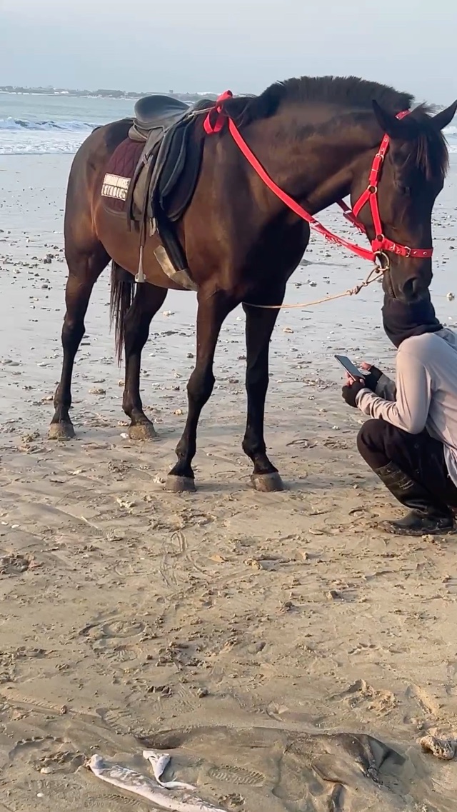 🐴 So cute! 😍
馬可愛い😍