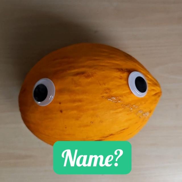 Melonion is my personal favorite